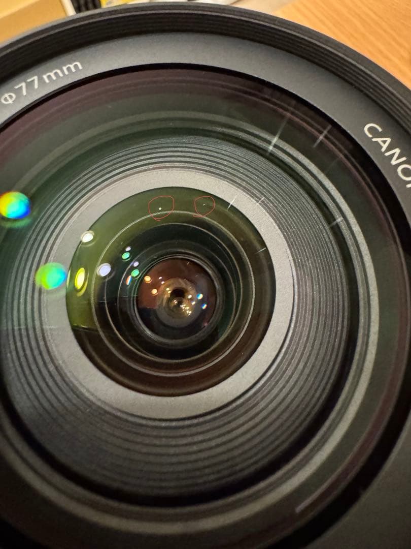 Canon EF 24-105mm F4L IS USM レンズ フード付