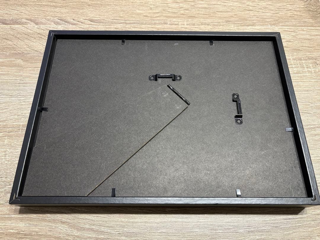 iPhone 標本・分解アート ボックスフレーム入り