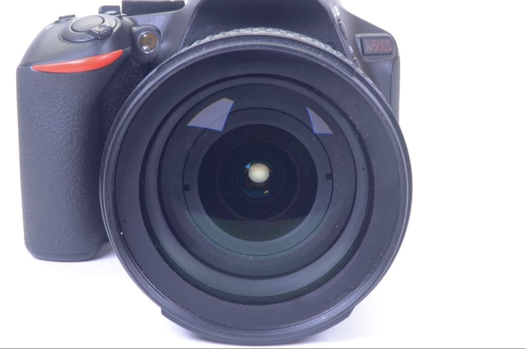 【ショット数極少 838枚！】 D5600 レンズセット／動作良好