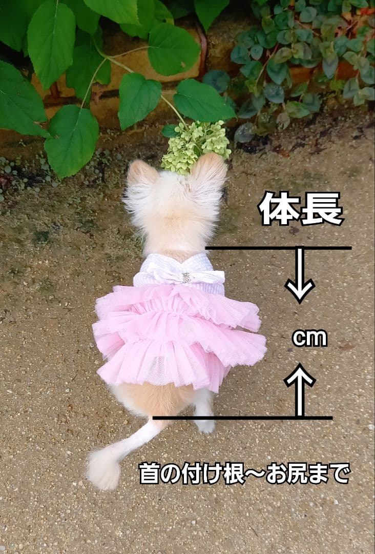 さやページ♥️　ポメ　　ぬいぐるみ　ハンドメイド　オーダー　カズコオガワ