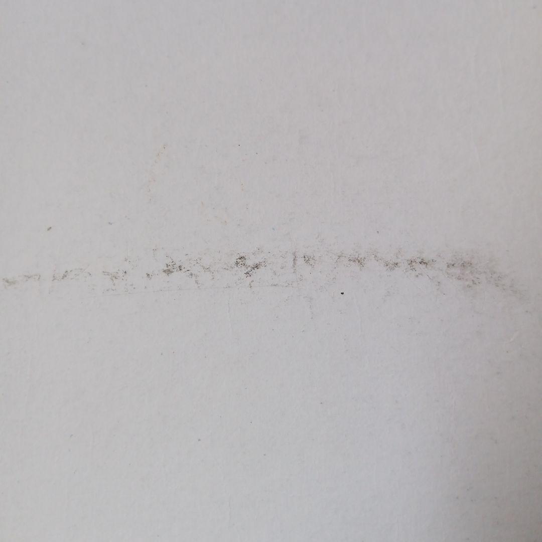 マンハッタナーズ 　MANHATTANER'S MIKASA 大皿＆小皿 セット