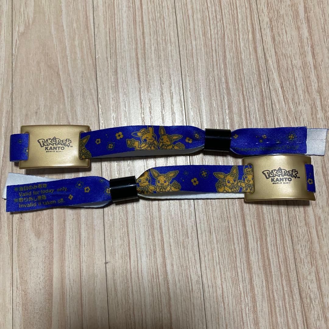 ポケパークカントー　エリートトレーナーズパス　特典セット　＋おまけ