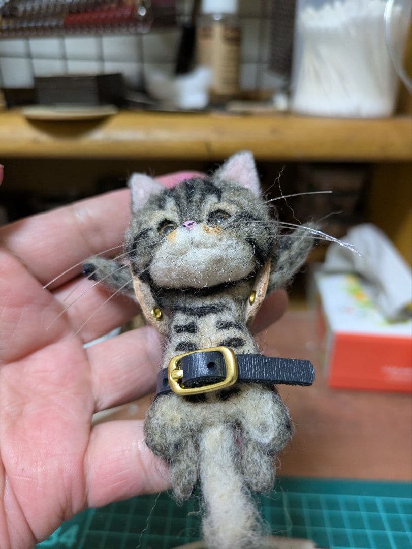 takakage@即購入歓迎出品 豆猫PECO-LIN