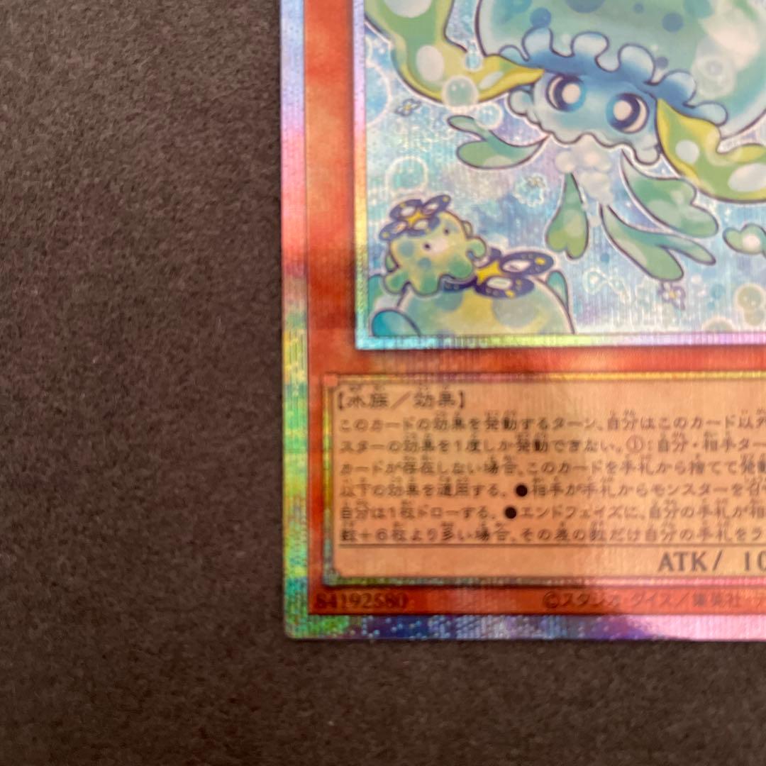 マルチャミー・プルリア　プリズマ