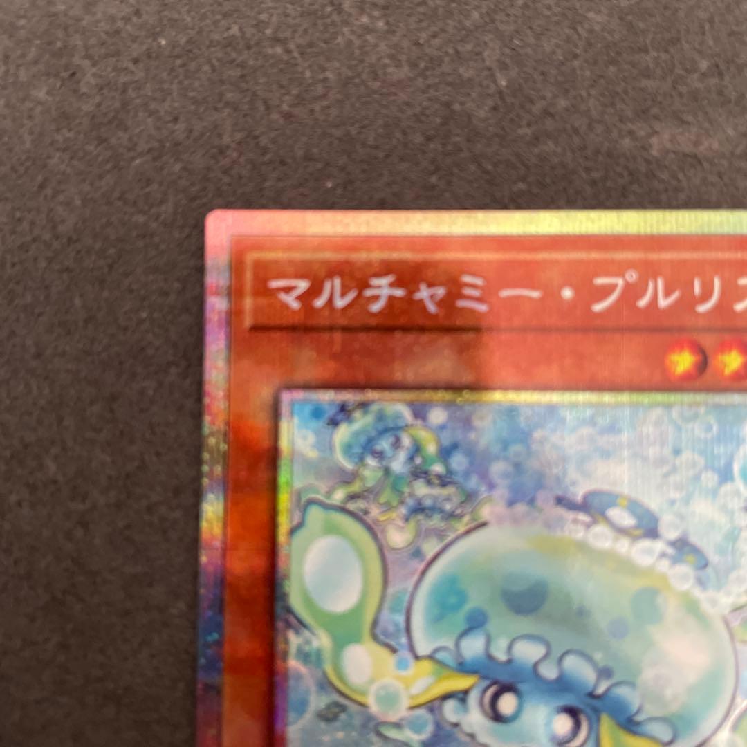 マルチャミー・プルリア　プリズマ