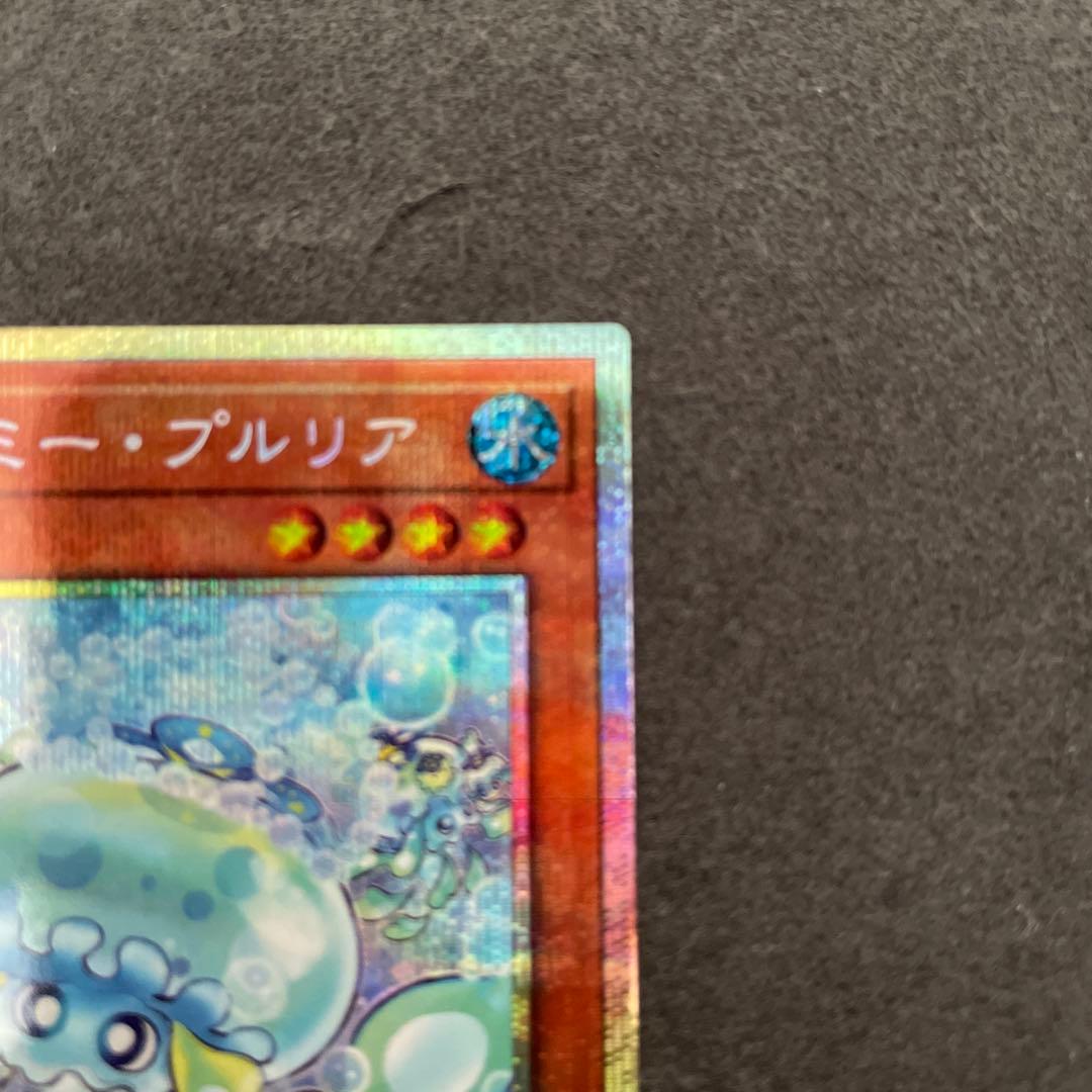 マルチャミー・プルリア　プリズマ