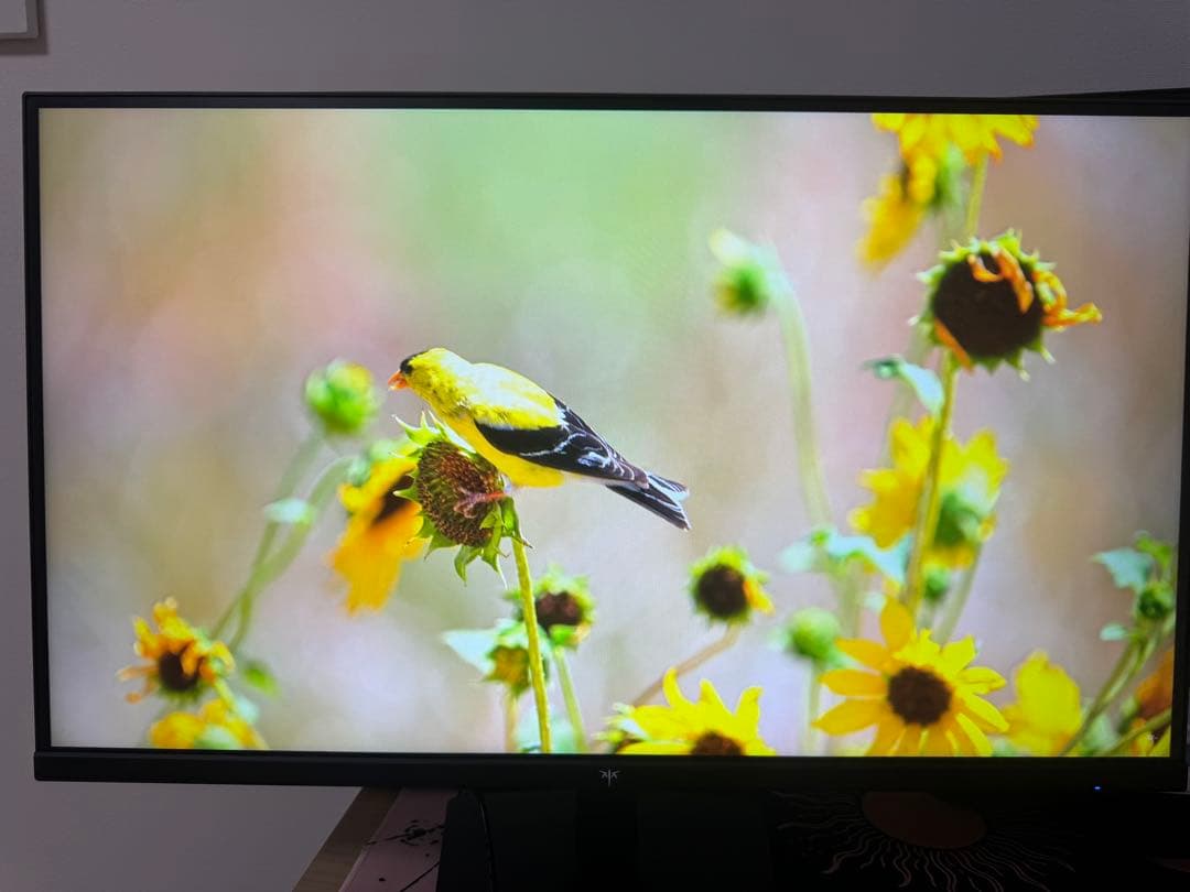 KTC H27T27、27インチIPS 2560×1440(WQHD)100Hz