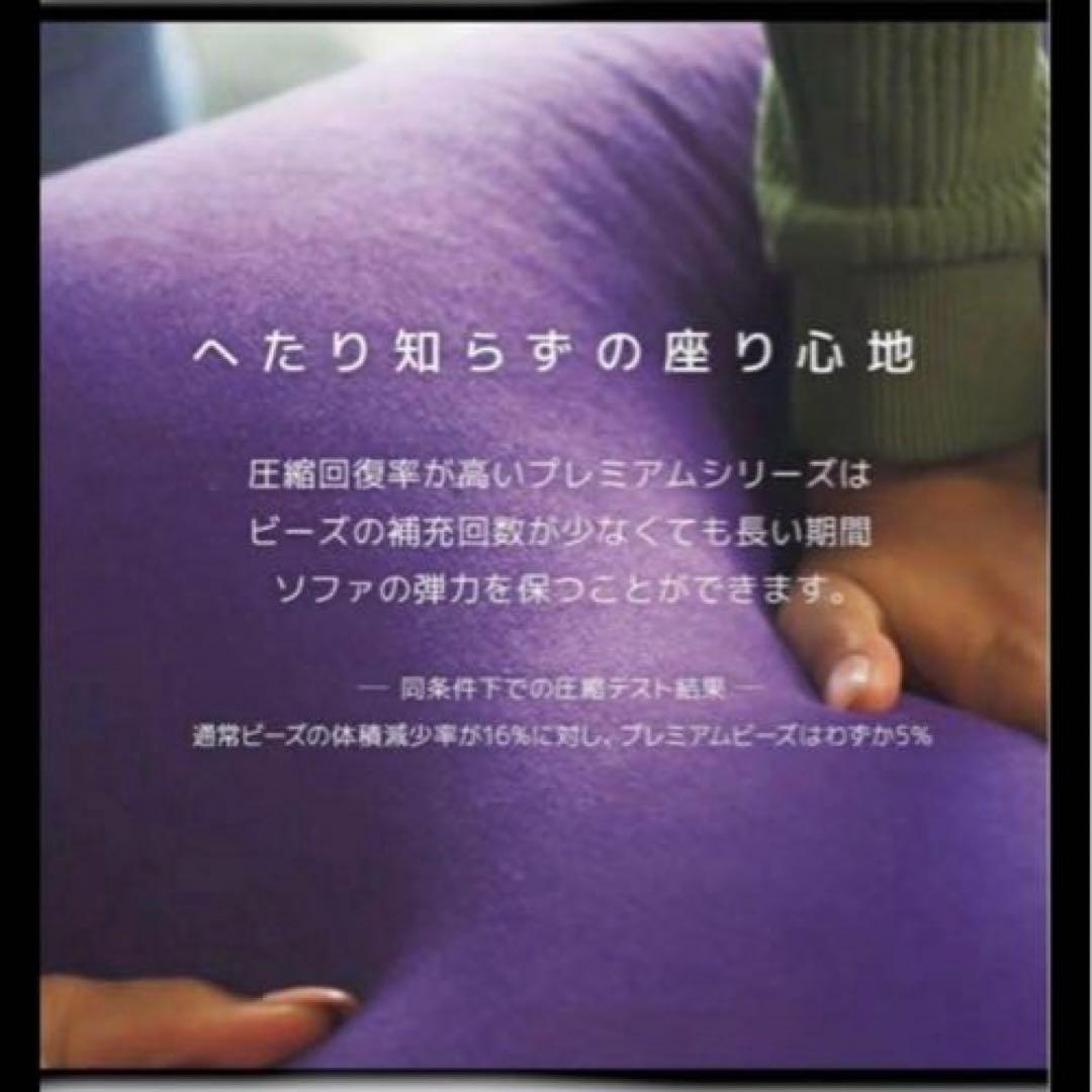 Riki Higashinaka 　Yogibo ラウンジャー レインボー