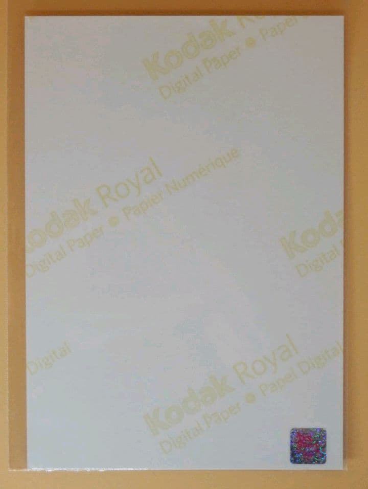 お宝【豆柴の大群 ナオ・オブ・ナオ 横山奈央(13歳) 直筆サイン入り生写真】