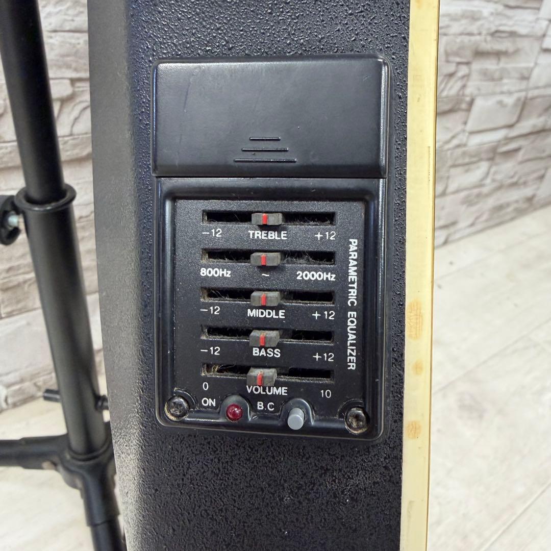 ReedMan リードマン エレクトリックアコースティックギター RM-501