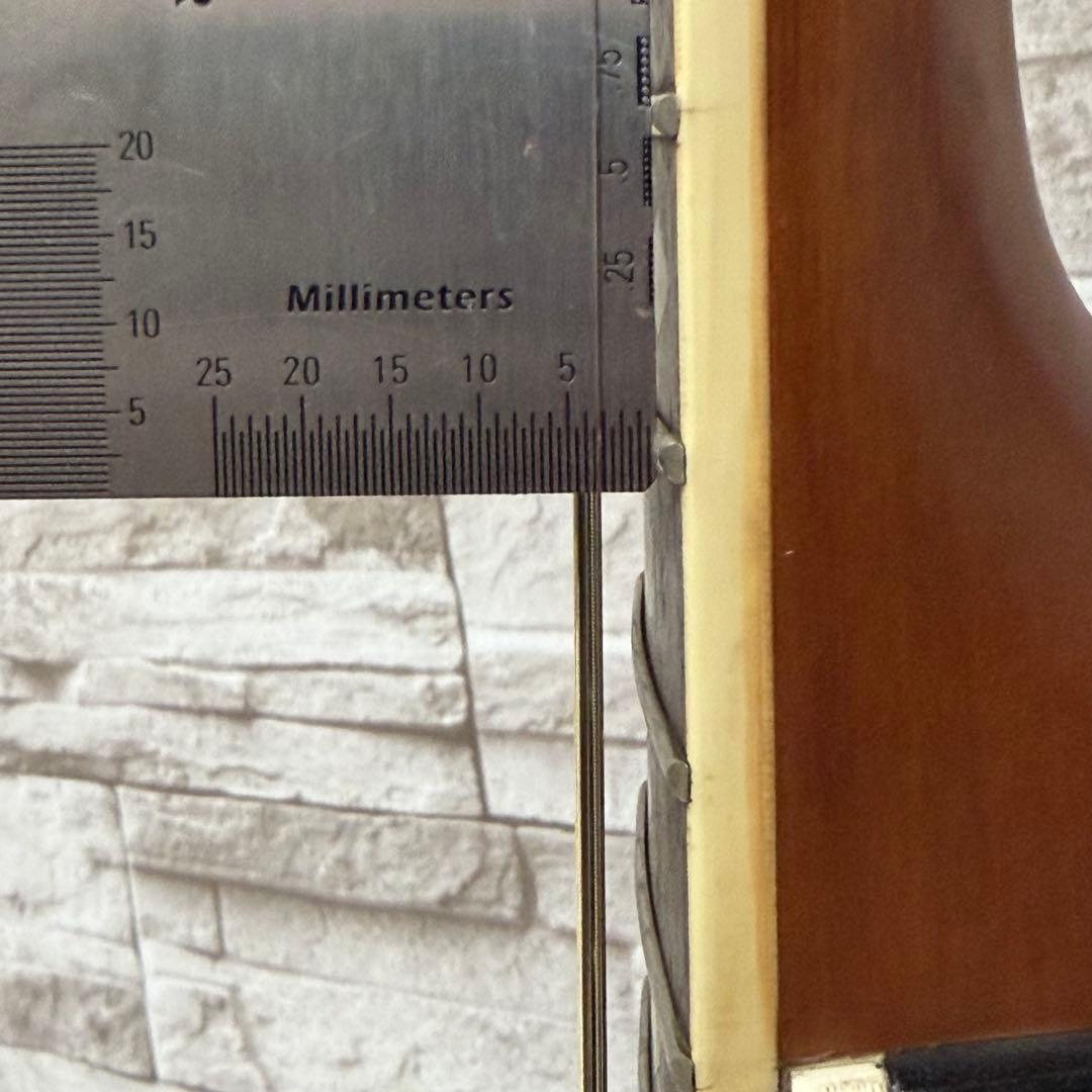 ReedMan リードマン エレクトリックアコースティックギター RM-501