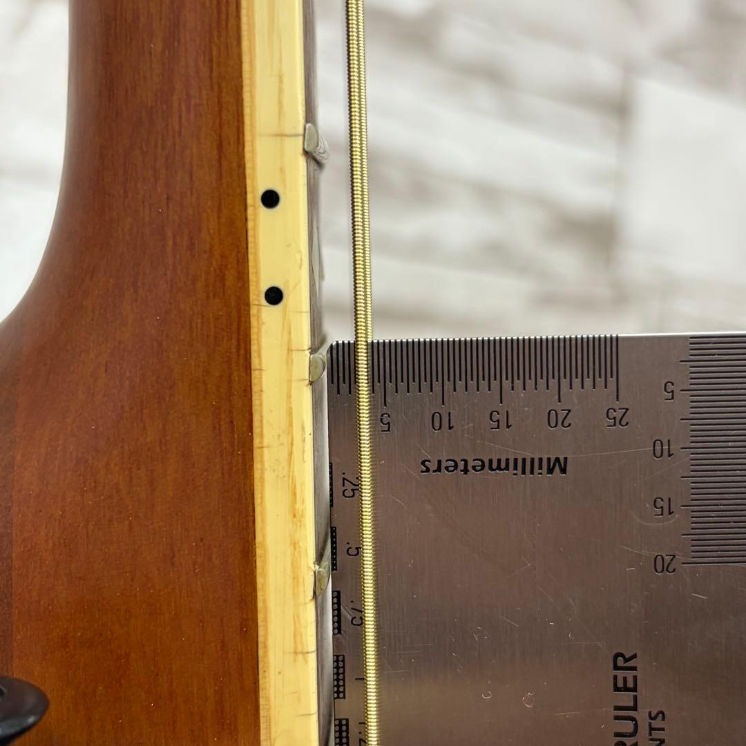 ReedMan リードマン エレクトリックアコースティックギター RM-501