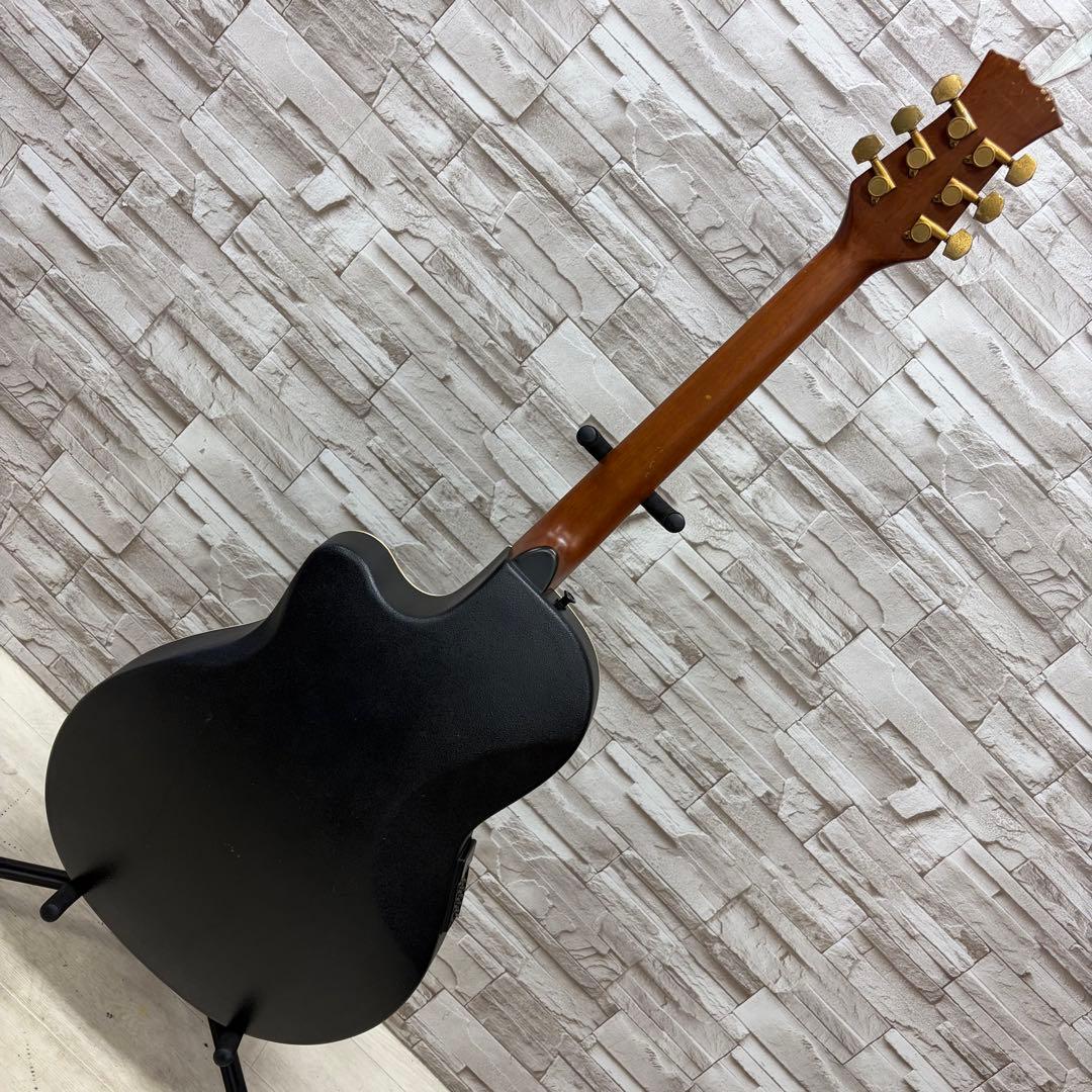 ReedMan リードマン エレクトリックアコースティックギター RM-501