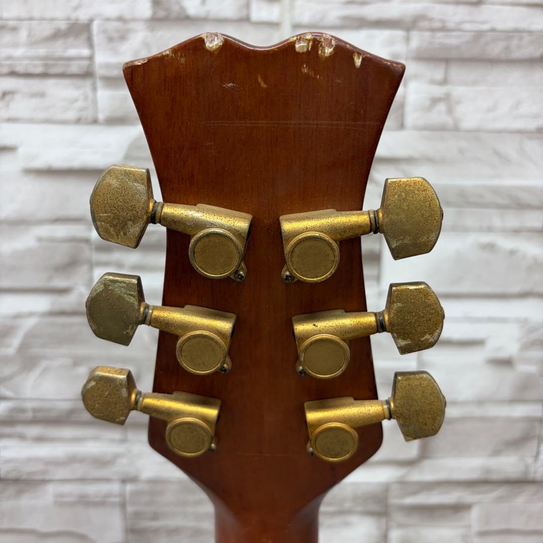 ReedMan リードマン エレクトリックアコースティックギター RM-501