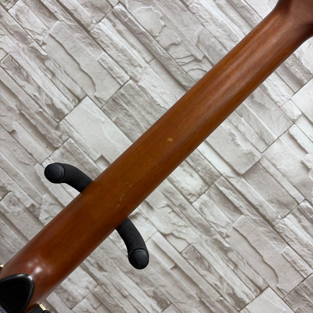 ReedMan リードマン エレクトリックアコースティックギター RM-501