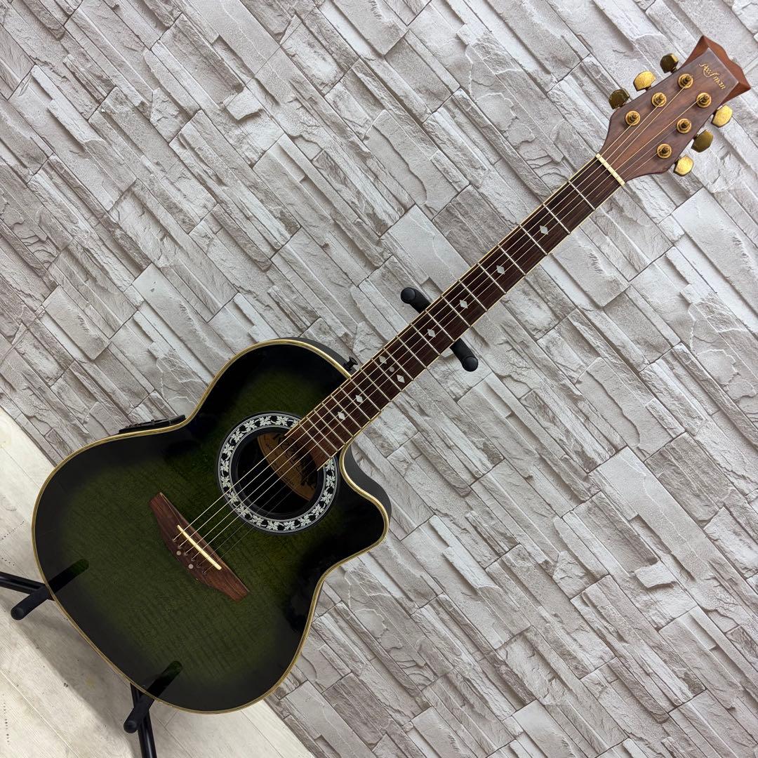 ReedMan リードマン エレクトリックアコースティックギター RM-501