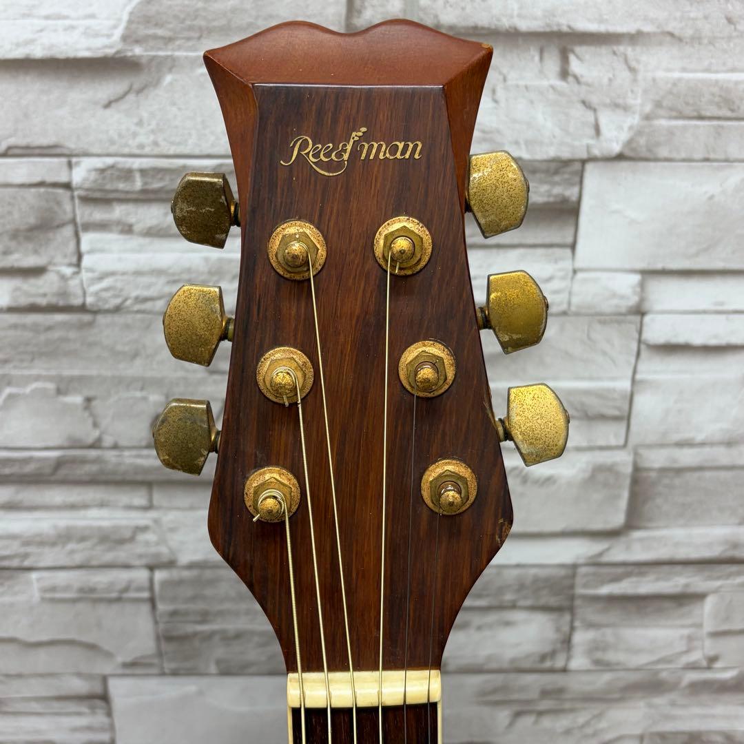 ReedMan リードマン エレクトリックアコースティックギター RM-501
