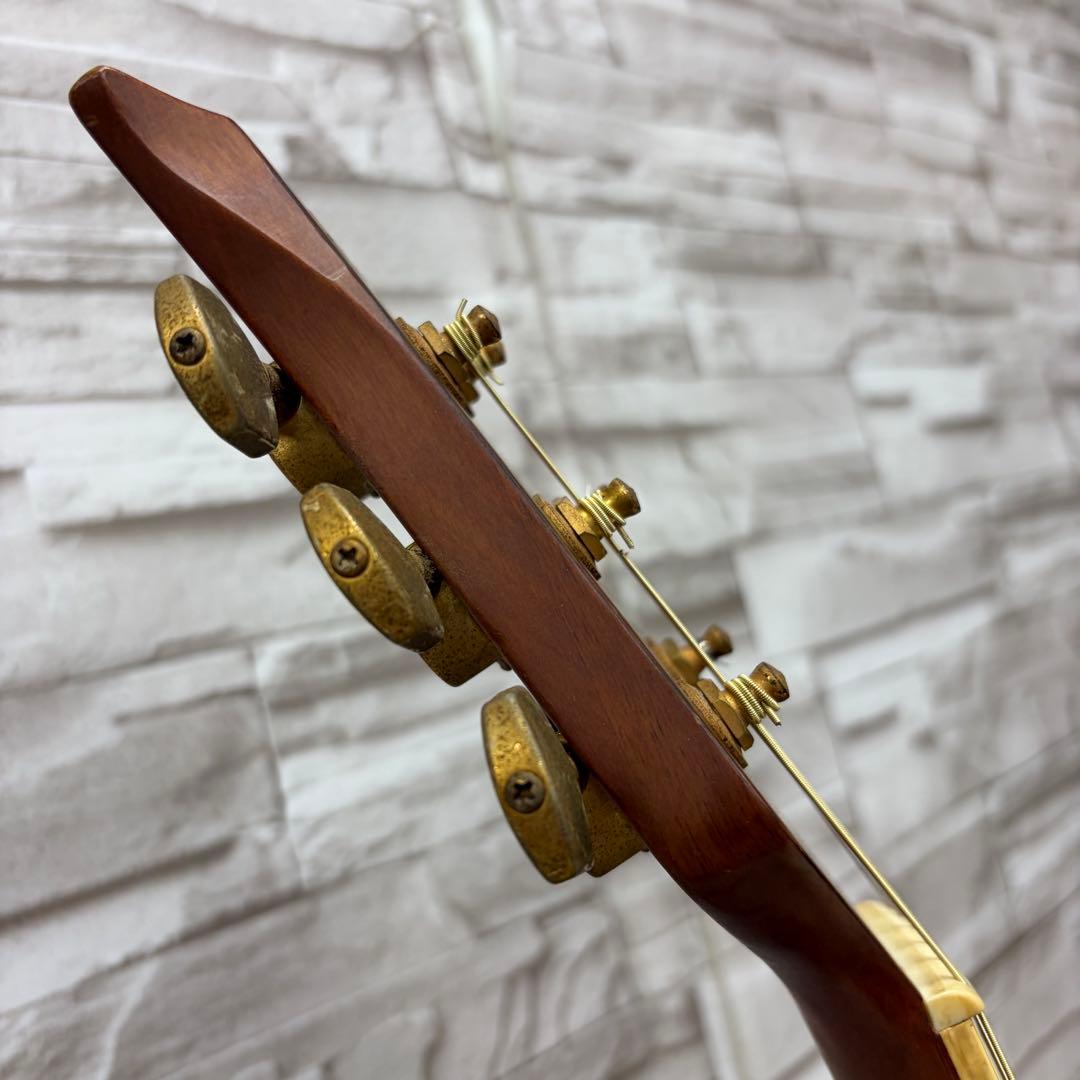 ReedMan リードマン エレクトリックアコースティックギター RM-501