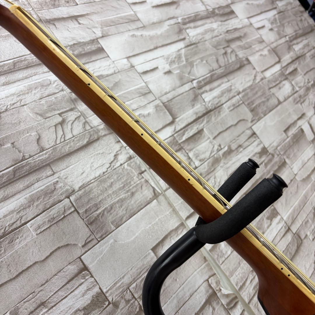 ReedMan リードマン エレクトリックアコースティックギター RM-501