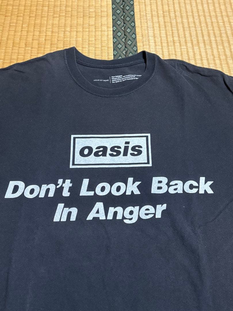 oasis アダムエロペ　古着　Tシャツ　LL