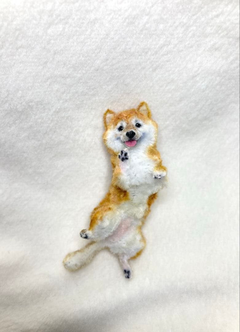 モールアート☆柴犬☆へそてん