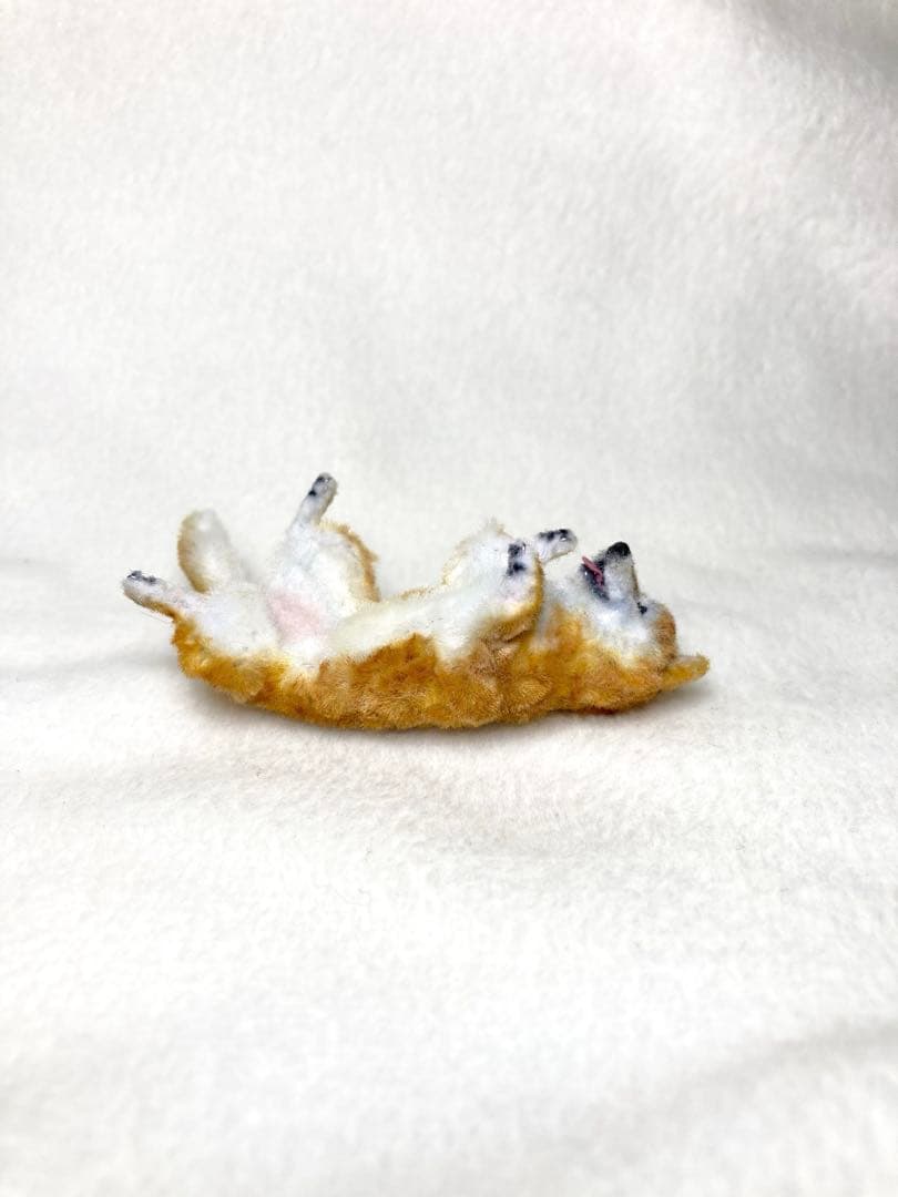 モールアート☆柴犬☆へそてん