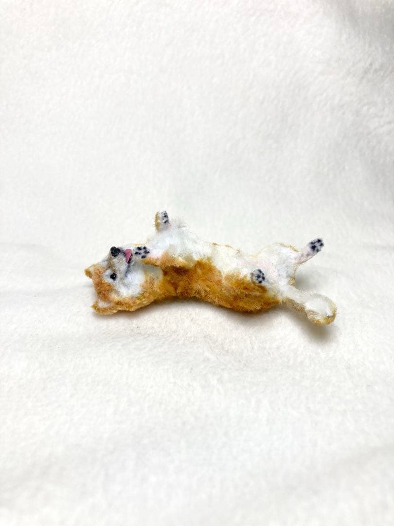 モールアート☆柴犬☆へそてん