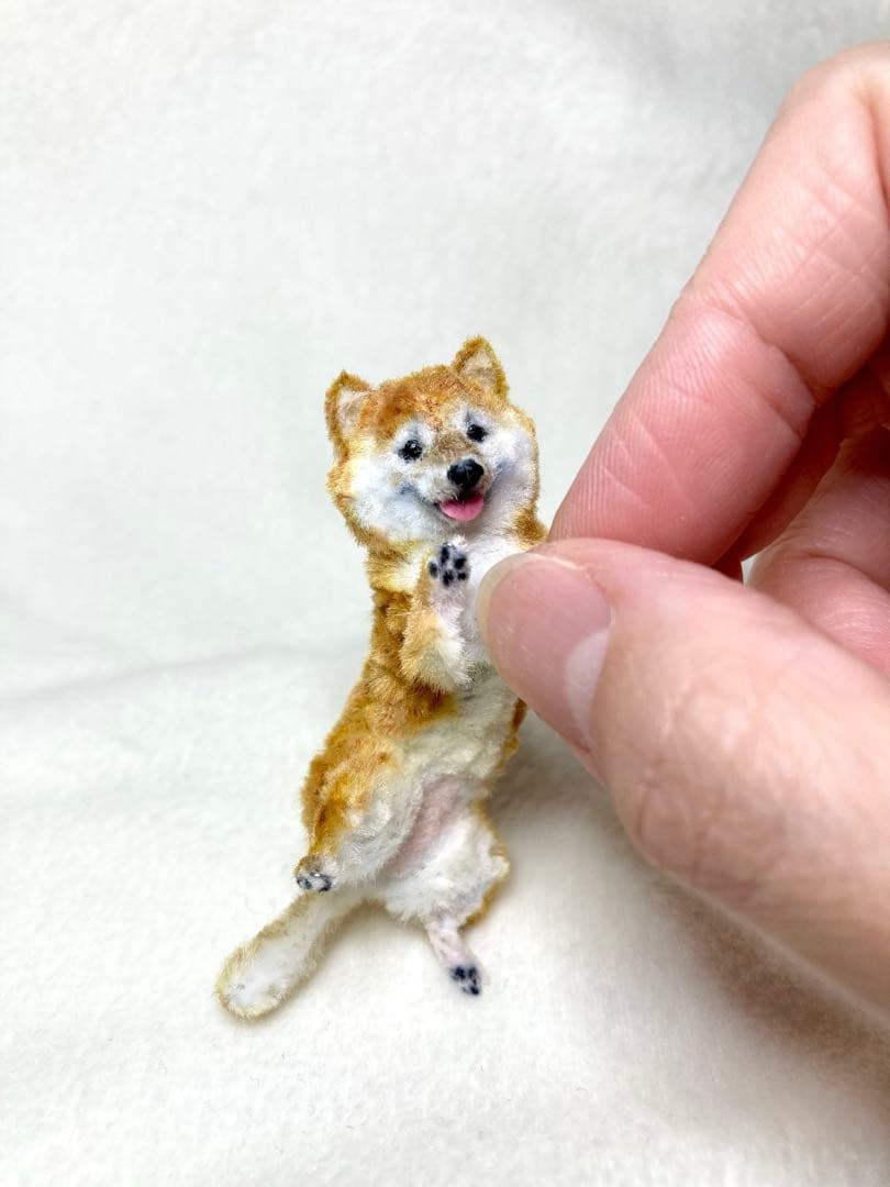 モールアート☆柴犬☆へそてん