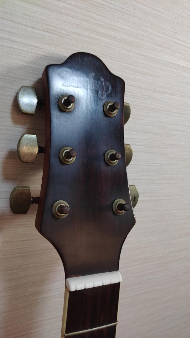 エレアコースティックギター