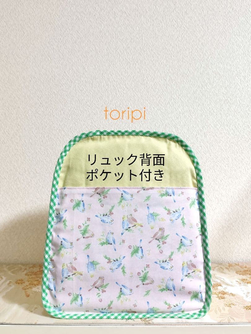 コンゴウインコ　ズグロシロハラインコ　ウロコ　コザクラインコ　リュック