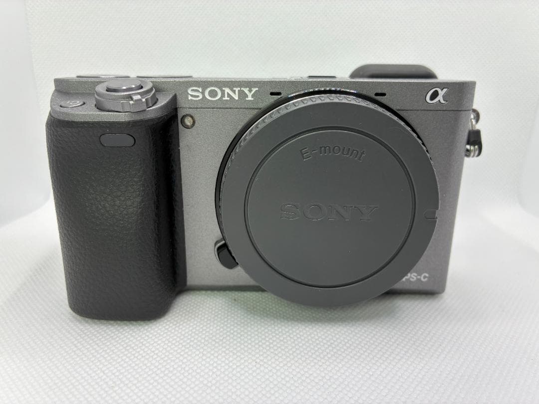 英語他多言語対応OK SONY α6000 silver ILCE-6000