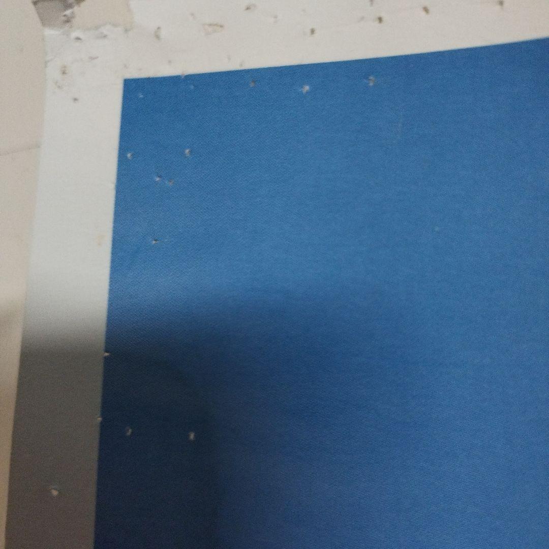 JR東日本 大人の休日倶楽部　吉永小百合 群馬　奥四万湖 B0サイズポスター