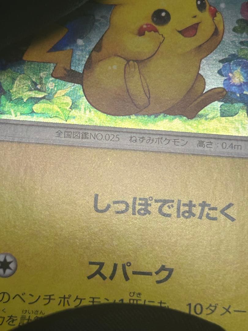 ピカチュウ プロモ 044/SM-P