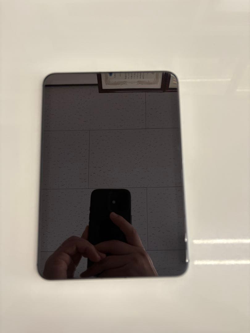 iPad本体 iPad Mini 6 Wi-Fi + CellularApplePencil2