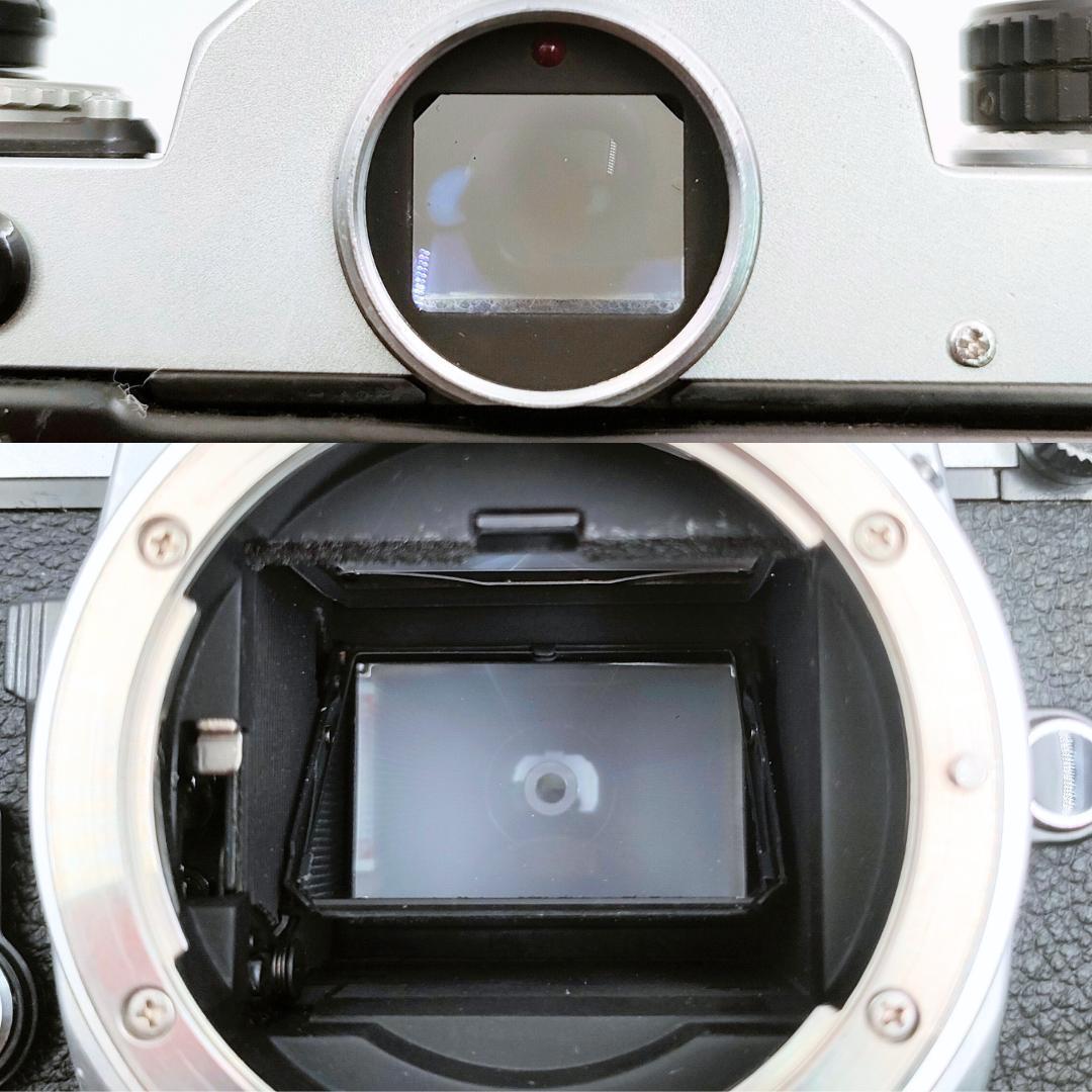 綺麗 Nikon FE /Zoom-Nikkor Ai 43-86mm F3.5