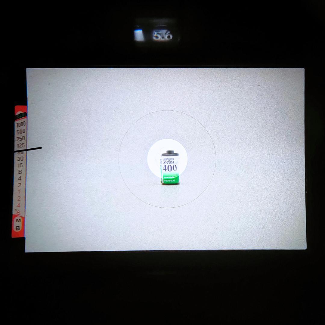 綺麗 Nikon FE /Zoom-Nikkor Ai 43-86mm F3.5