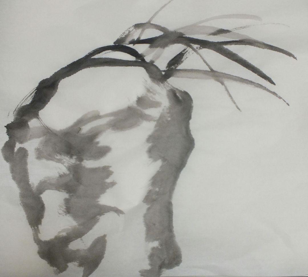 特浄　画仙紙　２反　200枚　宣紙　書道用紙