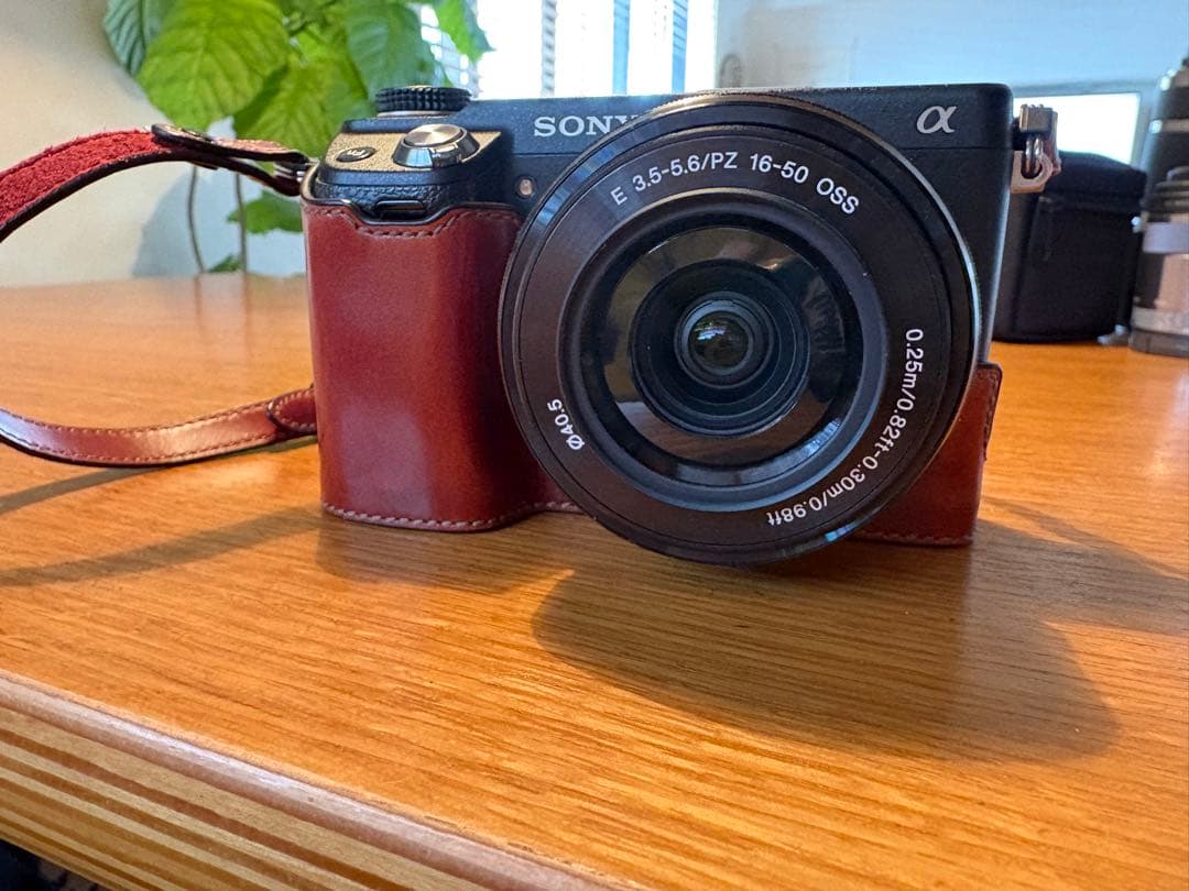 nex-6 ダブルズームGARIZカバーストラップ