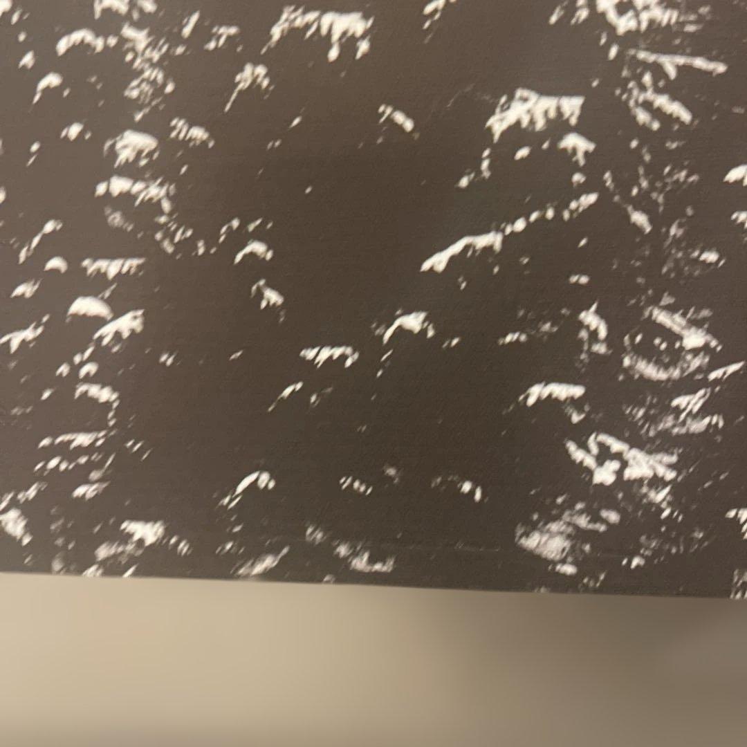 ボーコンセプト boconcept 絵画