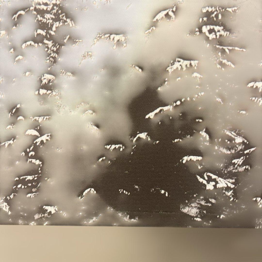 ボーコンセプト boconcept 絵画