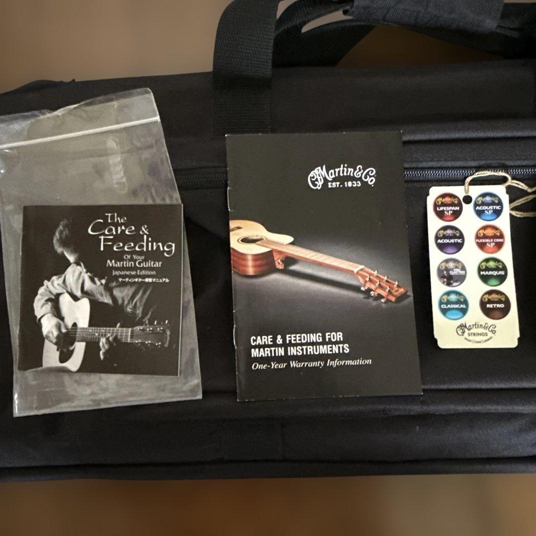 ギター Martin & Co. The Backpacker Guitar