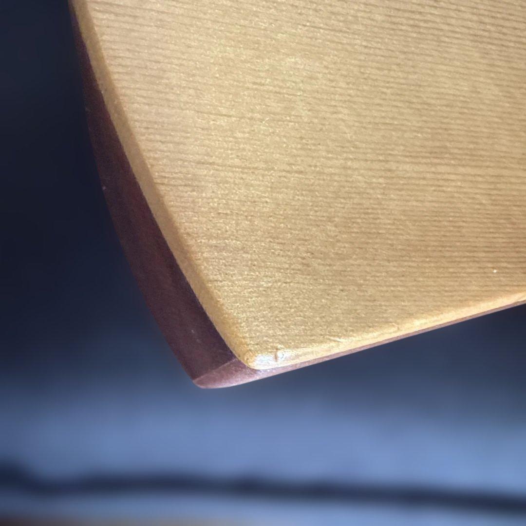 ギター Martin & Co. The Backpacker Guitar