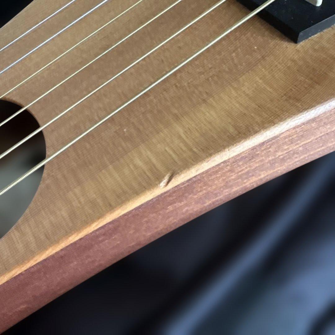 ギター Martin & Co. The Backpacker Guitar