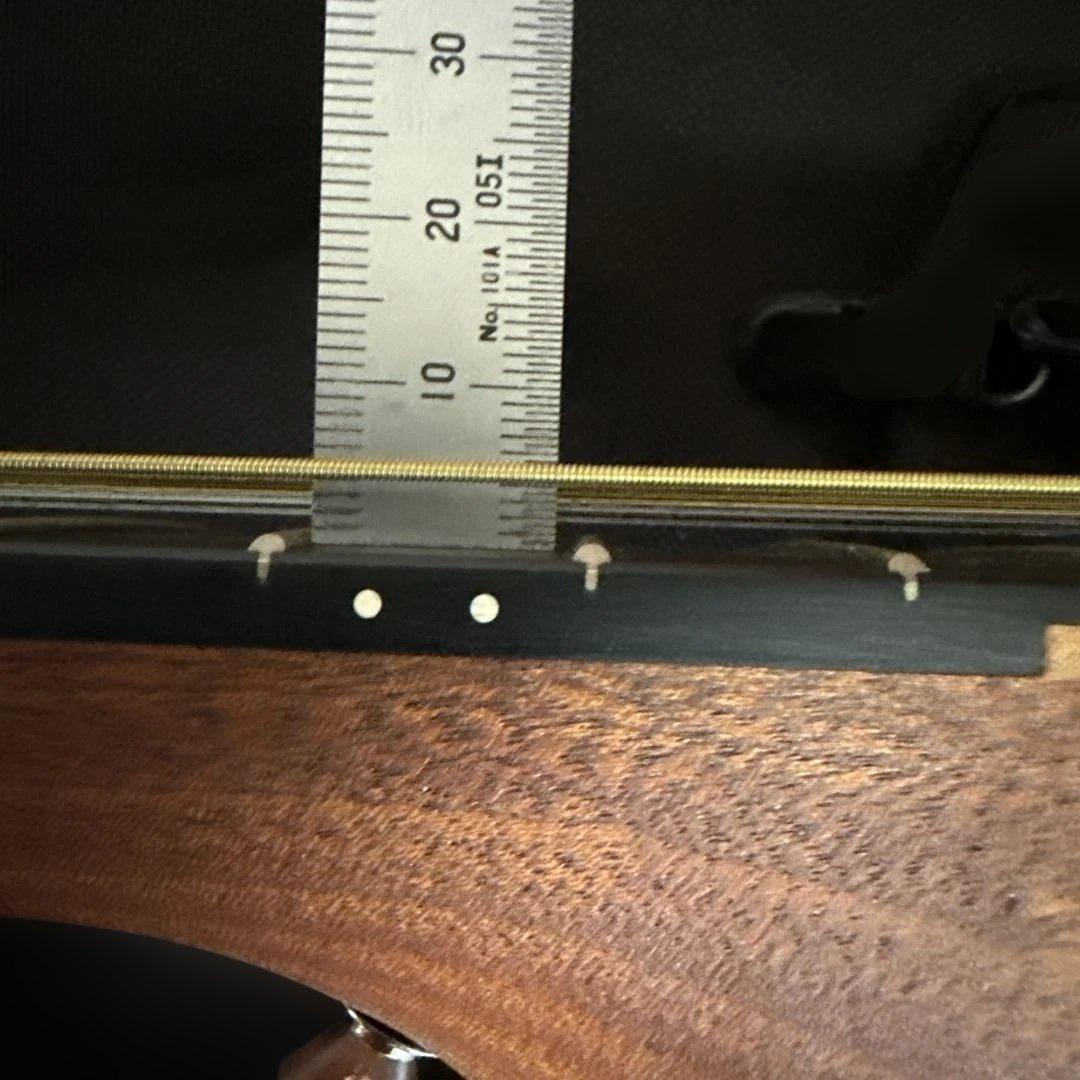 ギター Martin & Co. The Backpacker Guitar