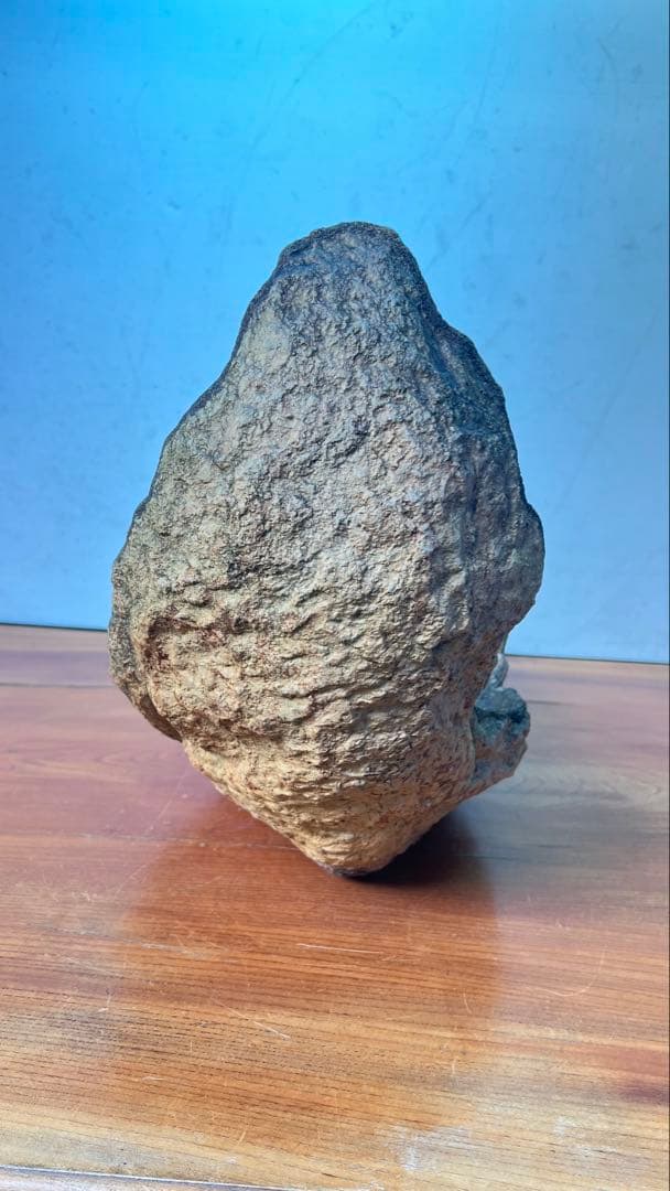 Ｊ6 自然石風植木鉢 特殊な鉢　水盤 京鞍馬風特殊な鉢　水盤60センチ