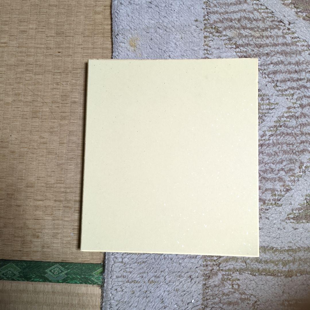 Vリーグ女子バレーボール久光製薬スプリングスの選手直筆サイン入り色紙