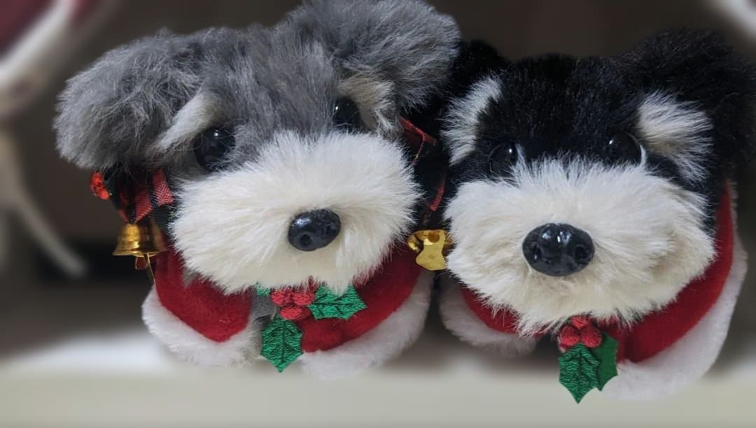 J&Tモールアート