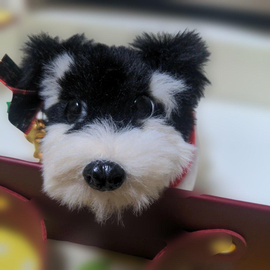 J&Tモールアート