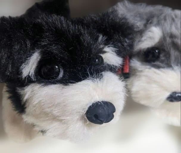 J&Tモールアート