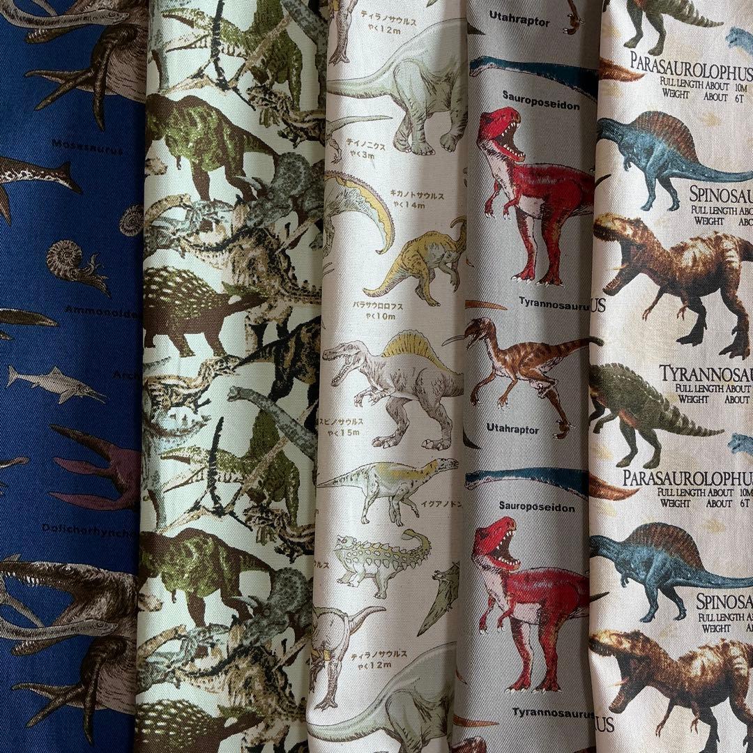 002 恐竜 給食セット×5枚　小学校 ランチョンマット ネームタグ 入学 給食